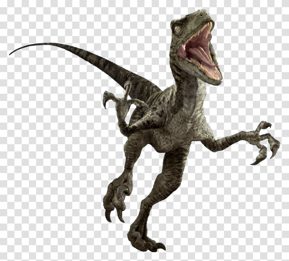 Jurassic World Evolution Download Image Jurassic World Raptor, Dinosaur, Reptile, Animal, T-Rex Transparent Png