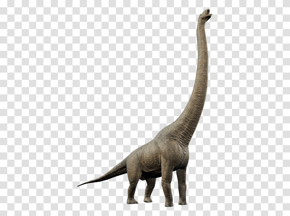 Jurassic World Evolution Dreadnoughtus, Dinosaur, Reptile, Animal, T-Rex Transparent Png