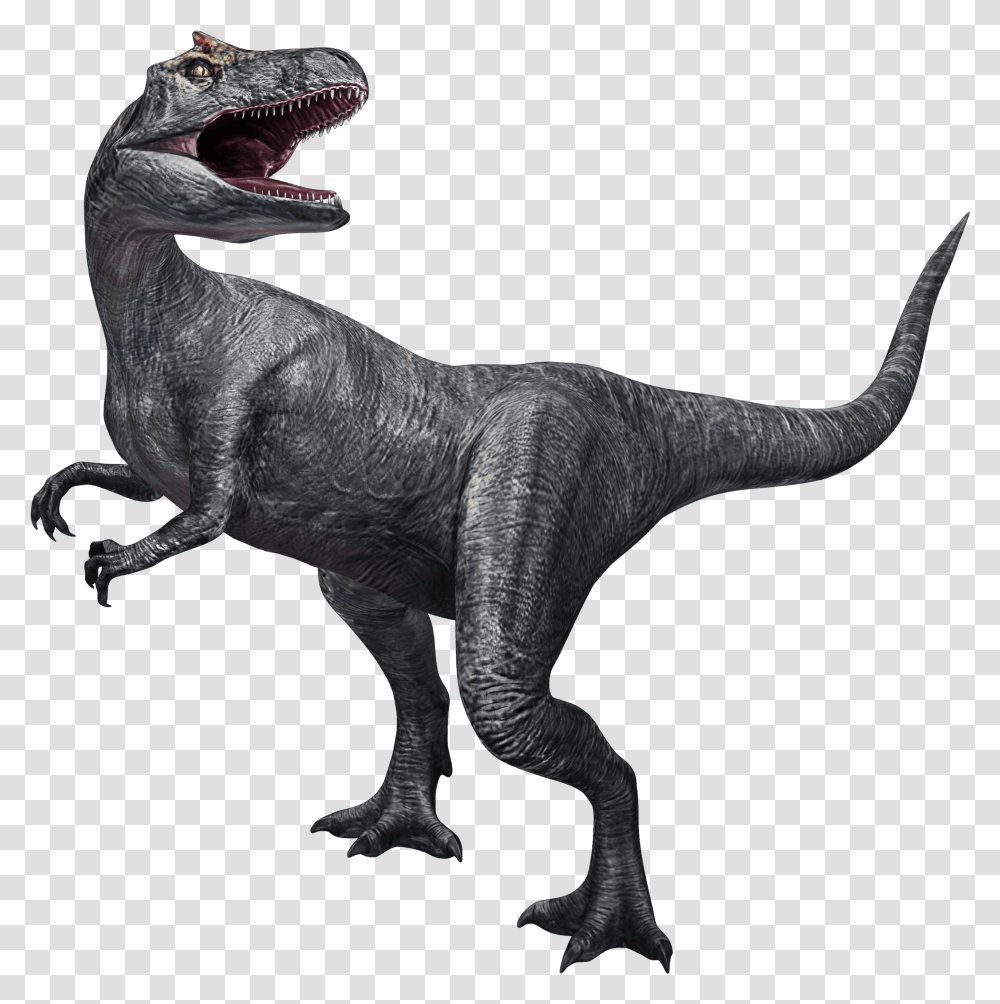 Jurassic World Fallen Kingdom Allosaurus, T-Rex, Dinosaur, Reptile, Animal Transparent Png