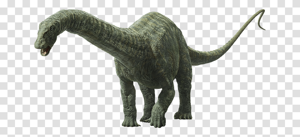 Jurassic World Fallen Kingdom Apatosaurus, T-Rex, Dinosaur, Reptile, Animal Transparent Png