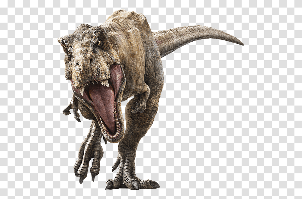 Jurassic World Fallen Kingdom T Rex, T-Rex, Dinosaur, Reptile, Animal Transparent Png