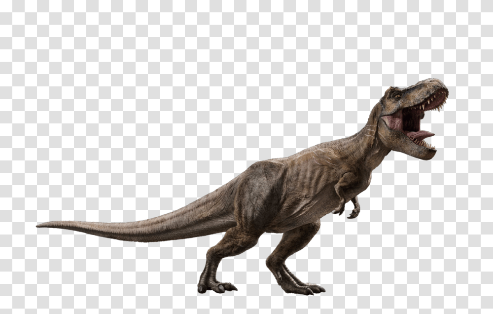 Jurassic World Fallen Kingdom Tyrannosaurus, Dinosaur, Reptile, Animal, T-Rex Transparent Png