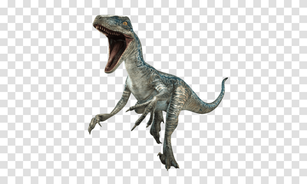 Jurassic World Fan Tumblr, T-Rex, Dinosaur, Reptile, Animal Transparent Png