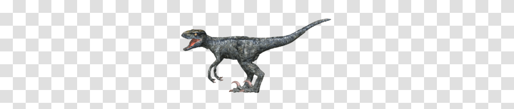 Jurassic World Project Version Now Available, Dinosaur, Reptile, Animal, T-Rex Transparent Png