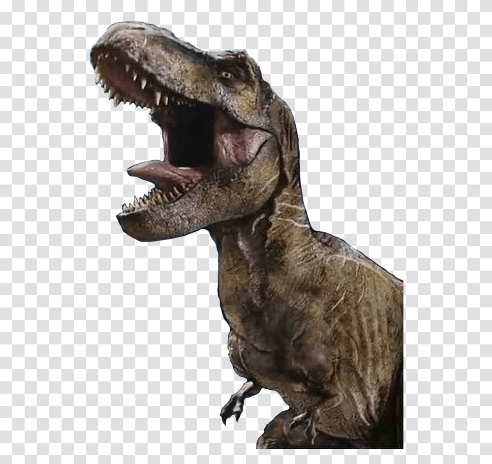 Jurassic World T Rex Render, T-Rex, Dinosaur, Reptile, Animal Transparent Png