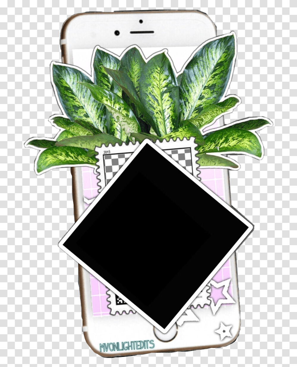 Just A Little Iphoneplantediting Sticker For Your Plant Texture, Electronics, Tablet Computer Transparent Png