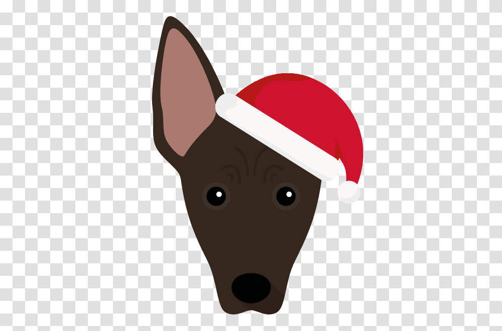 Just For Your Mexican Hairless, Blow Dryer, Appliance, Hair Drier Transparent Png