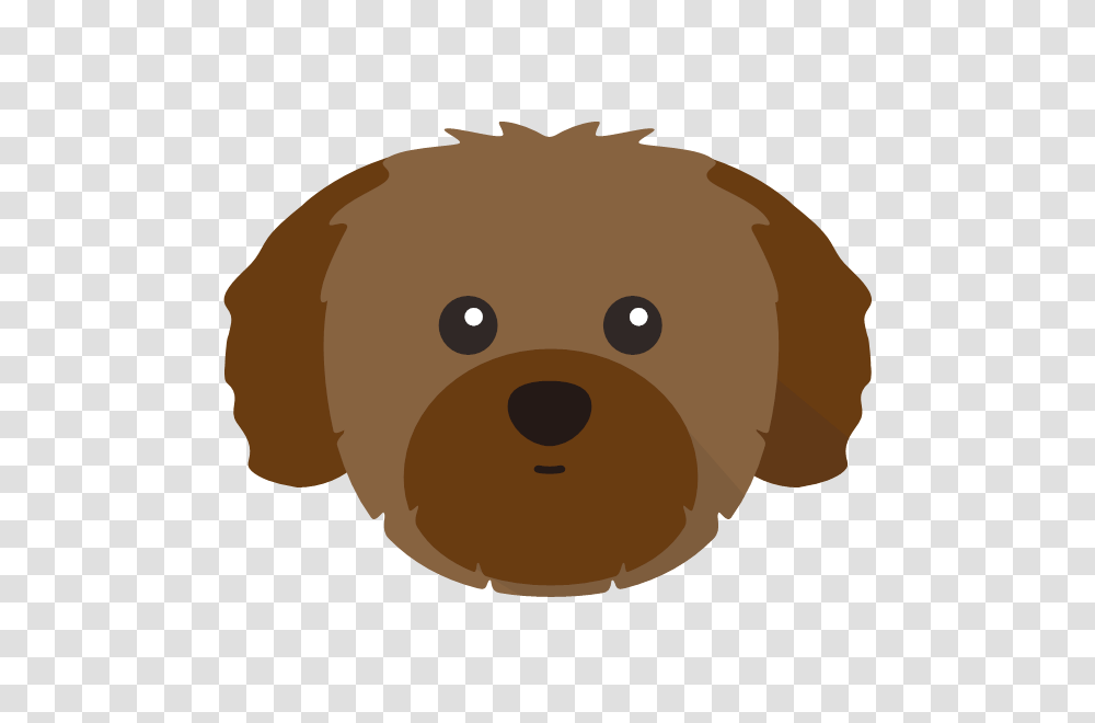 Just For Your Shih Tzu, Puppy, Dog, Pet, Canine Transparent Png
