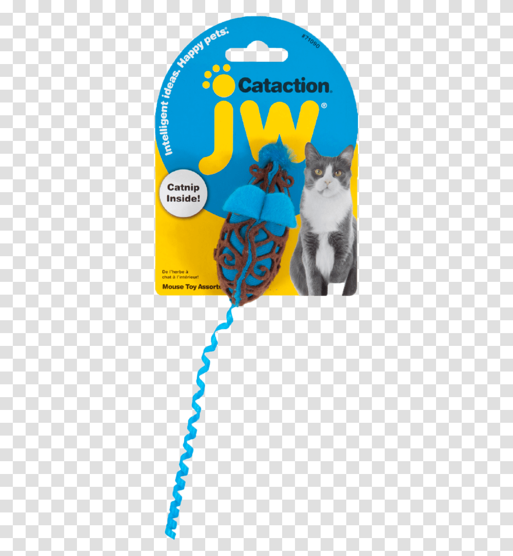 Jw Cataction Bird, Pet, Mammal, Animal Transparent Png