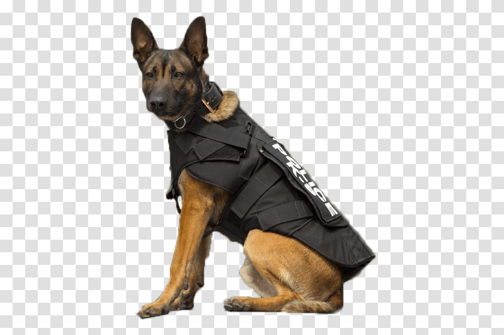 K 9 Police Dogs, Pet, Canine, Animal, Mammal Transparent Png