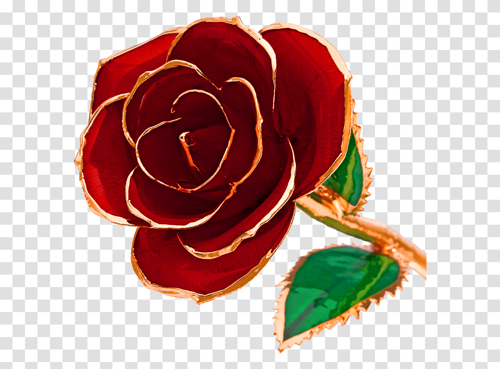 K Dipped Real Rose Made Out Of Gold, Flower, Plant, Blossom, Petal Transparent Png