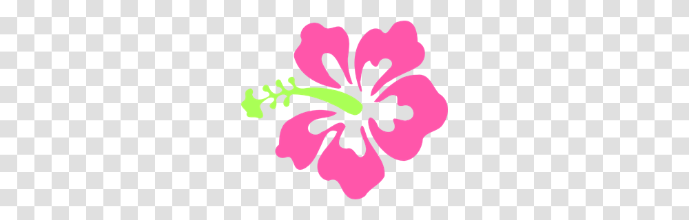 K Images Icon Cliparts, Hibiscus, Flower, Plant, Blossom Transparent Png