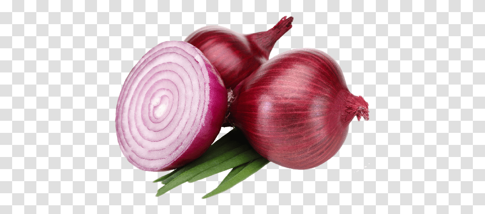 K V Rayllon Internationals Red Onions, Plant, Shallot, Vegetable, Food Transparent Png