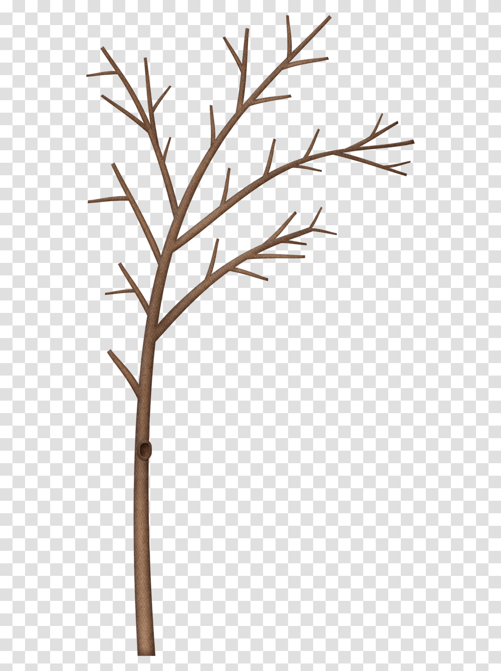 Kaagard Littleforestwinter Paintings, Tree, Plant, Outdoors, Flower Transparent Png
