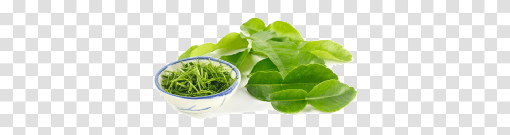 Kaffir Lime Leaves Image Arts Water Spinach, Plant, Leaf, Beverage, Drink Transparent Png