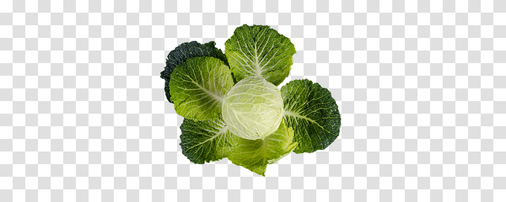 Kale Nature, Plant, Vegetable, Food Transparent Png