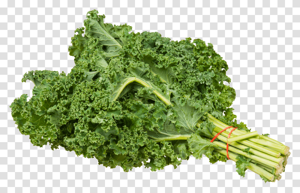 Kale Bundle Image Kale, Cabbage, Vegetable, Plant, Food Transparent Png