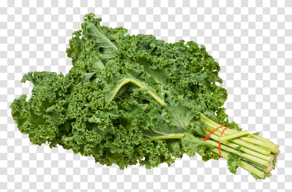 Kale Bundle Image, Vegetable, Cabbage, Plant, Food Transparent Png