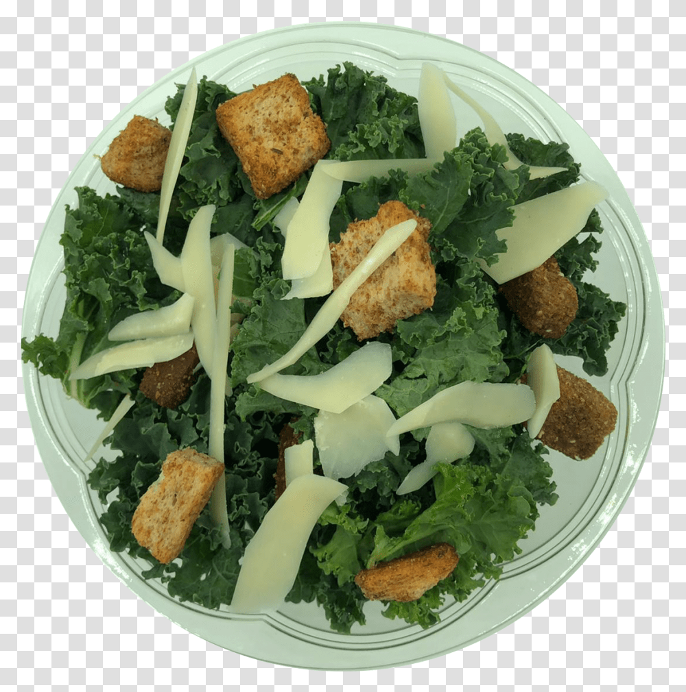 Kale Cesar Salad Caesar Salad, Plant, Seasoning, Food, Meal Transparent Png