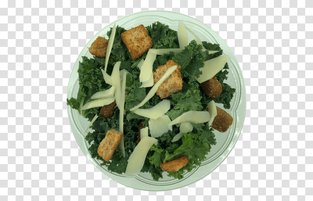 Kale Cesar Salad, Plant, Food, Meal, Seasoning Transparent Png