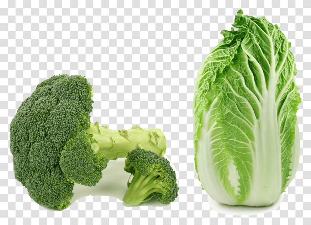 Kale Clipart Chinese Cabbage, Plant, Vegetable, Food, Pineapple Transparent Png