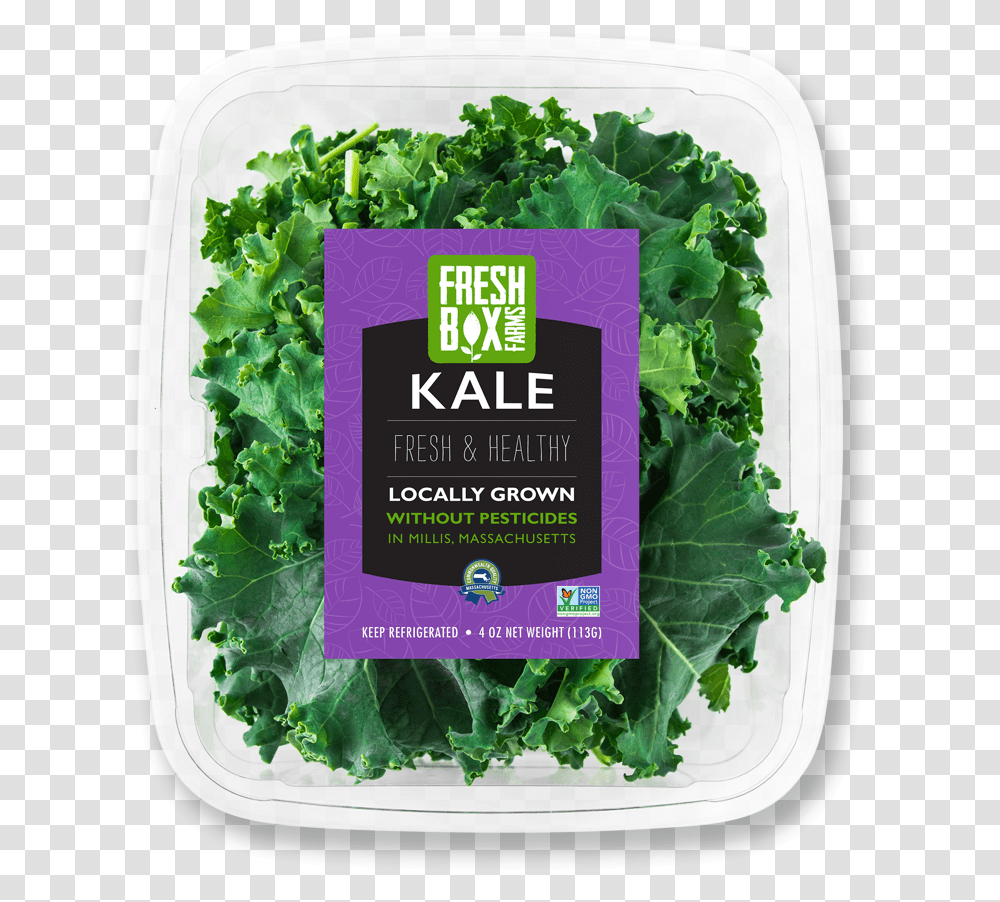 Kale Collard Greens, Cabbage, Vegetable, Plant, Food Transparent Png