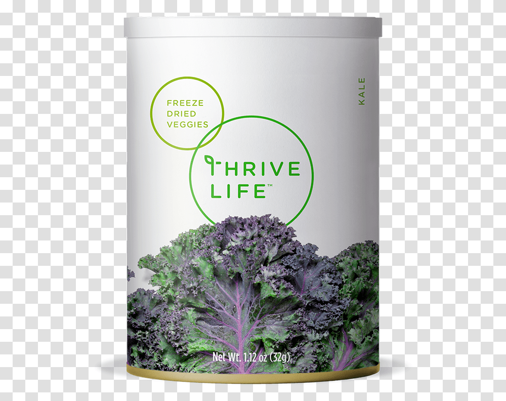 Kale Freeze Dried Vegetables Broccoli, Cabbage, Plant, Food Transparent Png