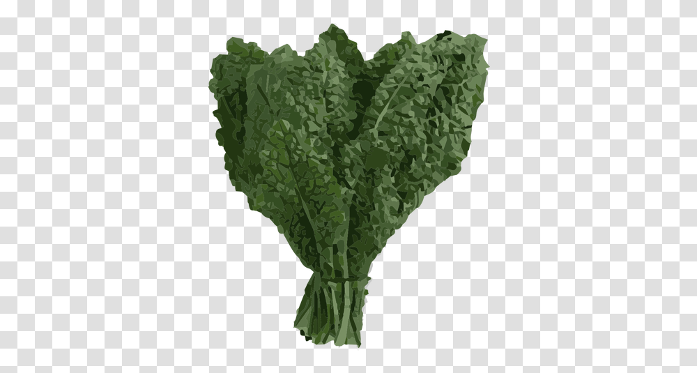 Kale Green Clipart Kale, Cabbage, Vegetable, Plant, Food Transparent Png