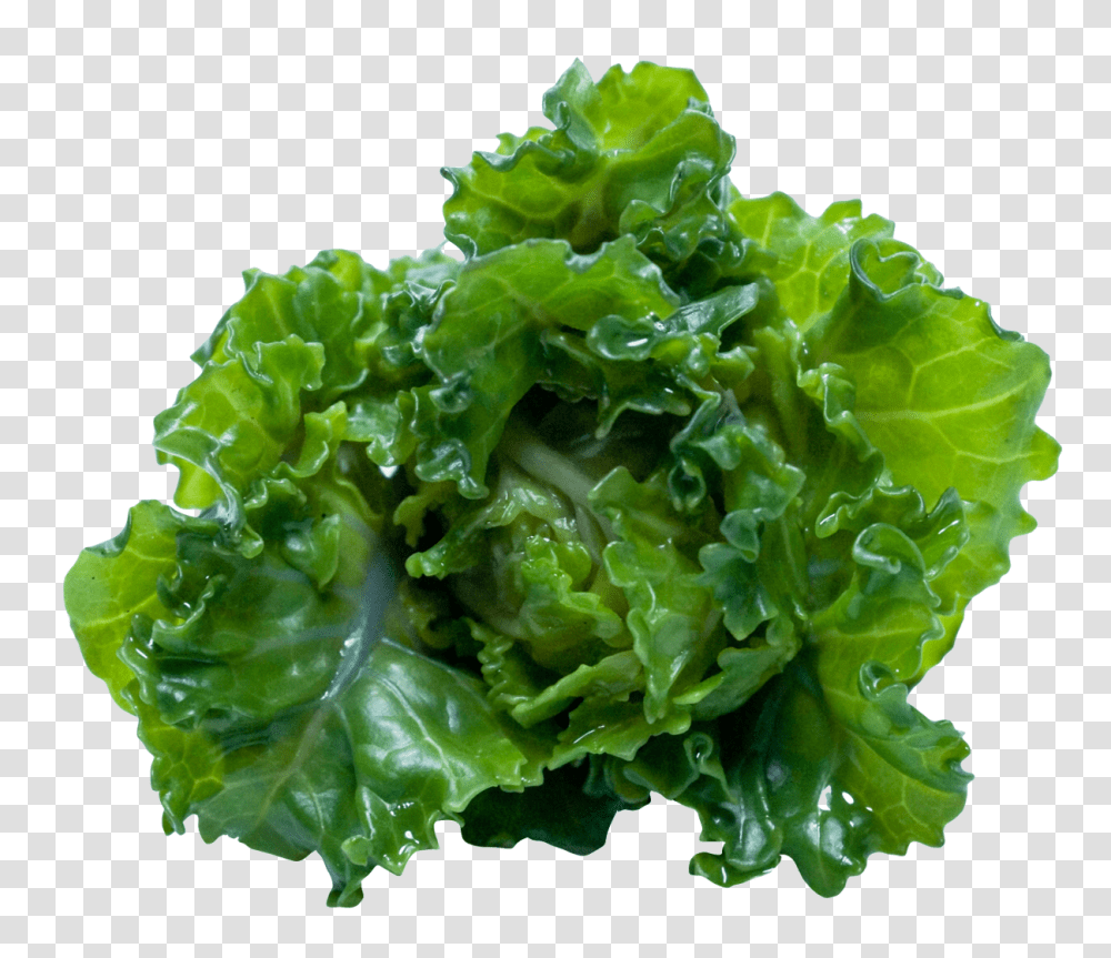 Kale Image, Vegetable, Plant, Lettuce, Food Transparent Png