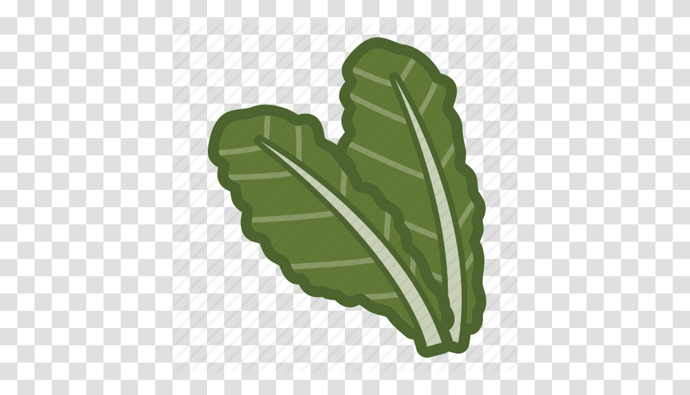 Kale Leaf Salad Vegan Vegetable Icon, Plant, Food, Spinach, Lettuce Transparent Png