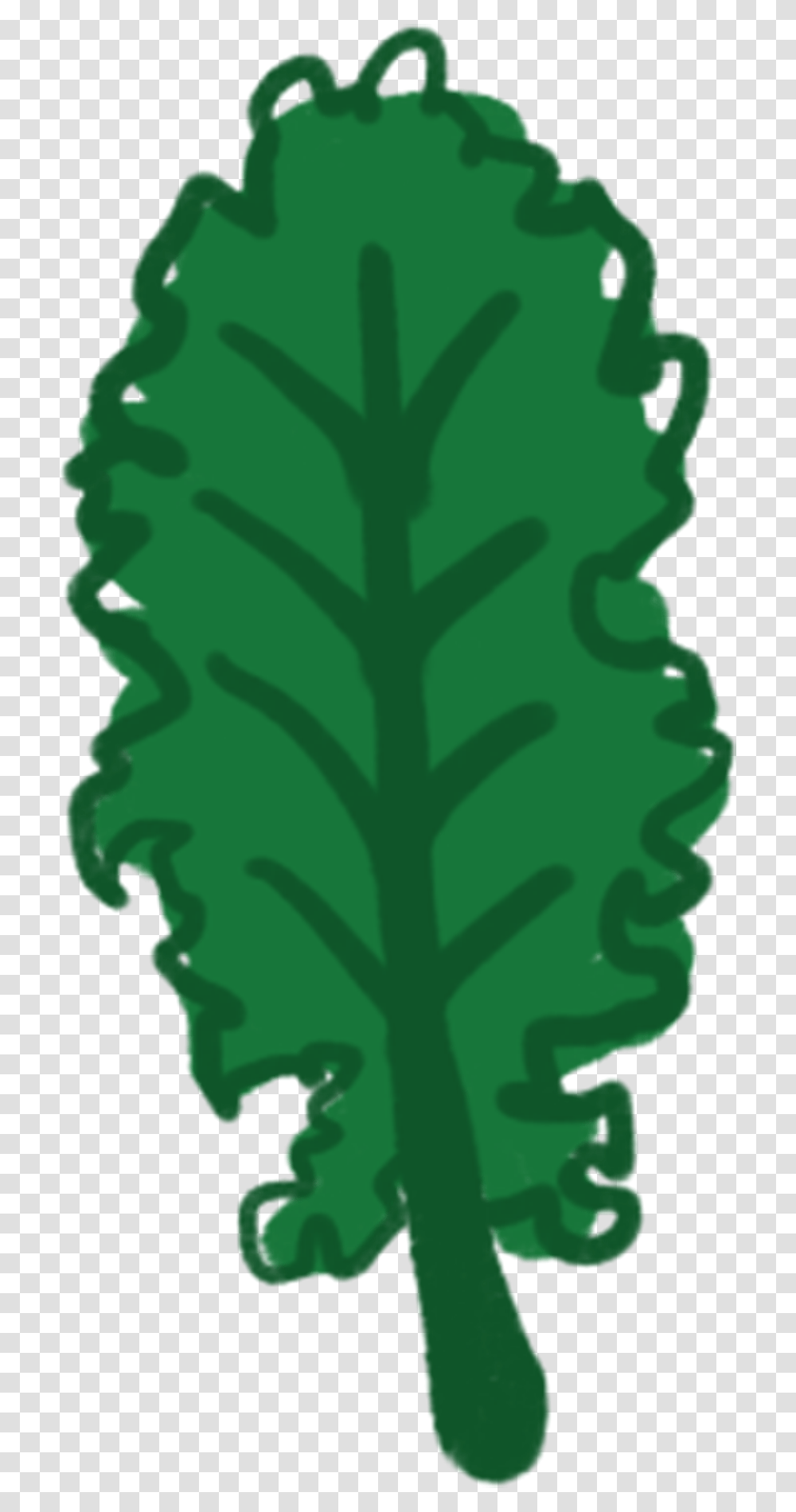 Kale Lettuce, Plant, Tree, Green, Military Uniform Transparent Png