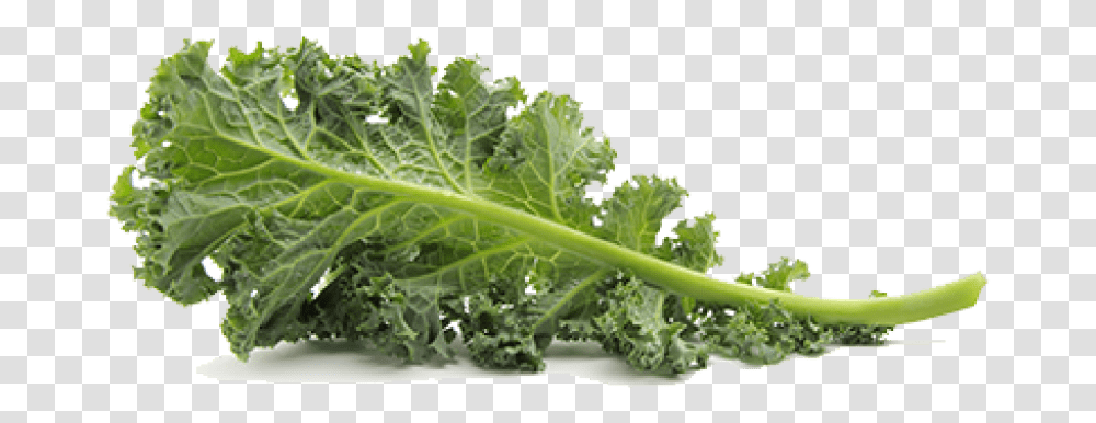 Kale Pic Images Kale, Cabbage, Vegetable, Plant, Food Transparent Png