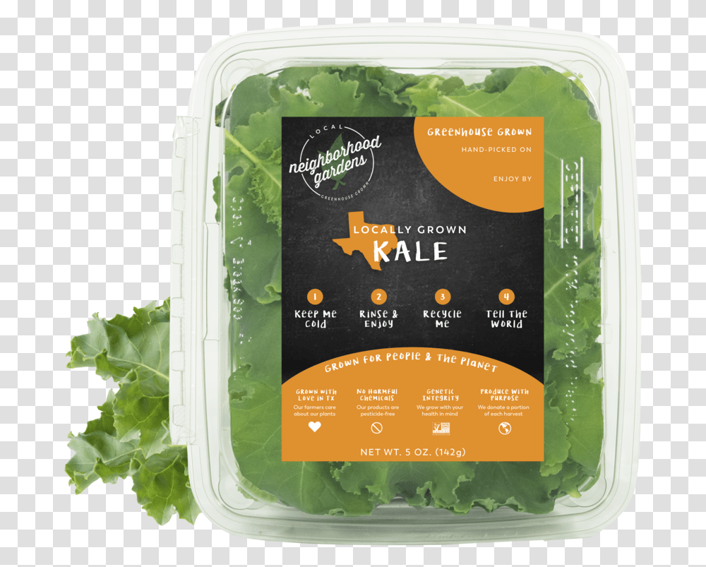 Kale Sample Kale, Plant, Vegetable, Food, Lettuce Transparent Png