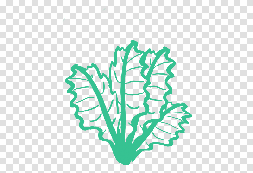 Kale Silhouette Download Limited Time Sign, Plant, Veins Transparent Png