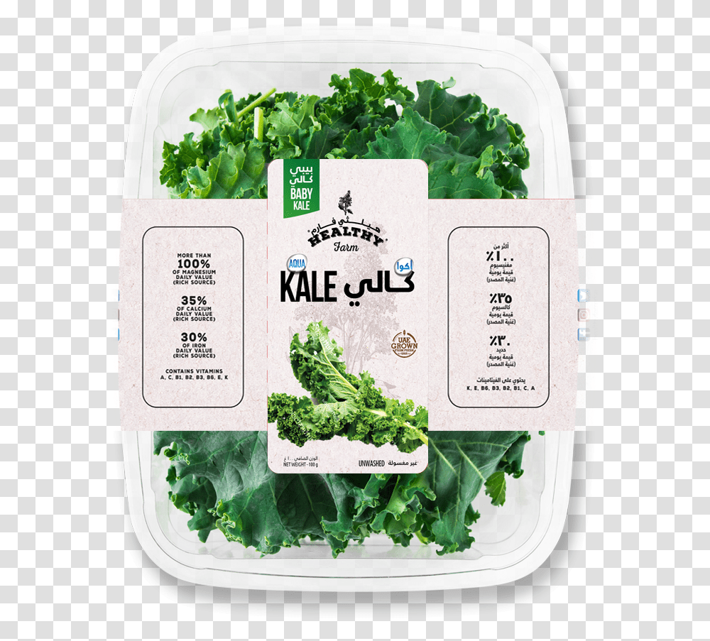 Kale Spinach, Cabbage, Vegetable, Plant, Food Transparent Png
