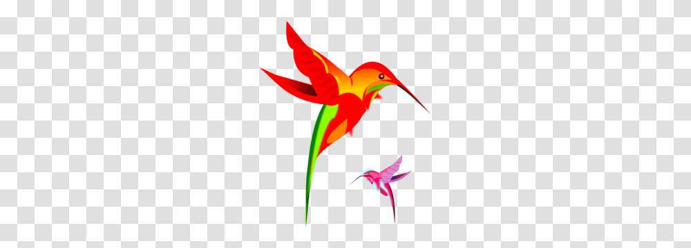 Kaleidoscope Clip Art Vector, Bird, Animal, Flying, Flower Transparent Png