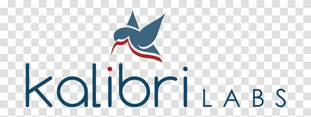 Kalibri Labs, Flag, Star Symbol Transparent Png
