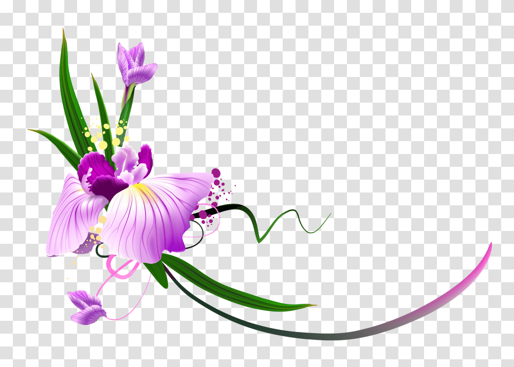 Kalinka Flowers Floral, Plant, Floral Design Transparent Png