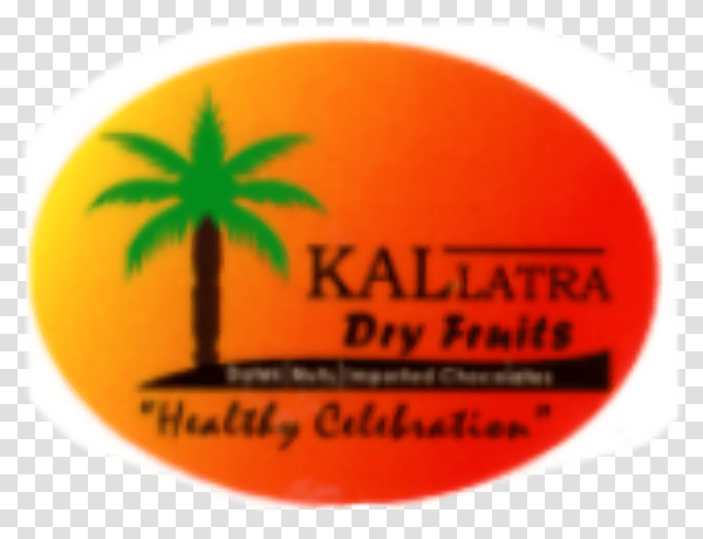 Kallatra Dry Fruits Download, Plant, Leaf, Palm Tree, Arecaceae Transparent Png
