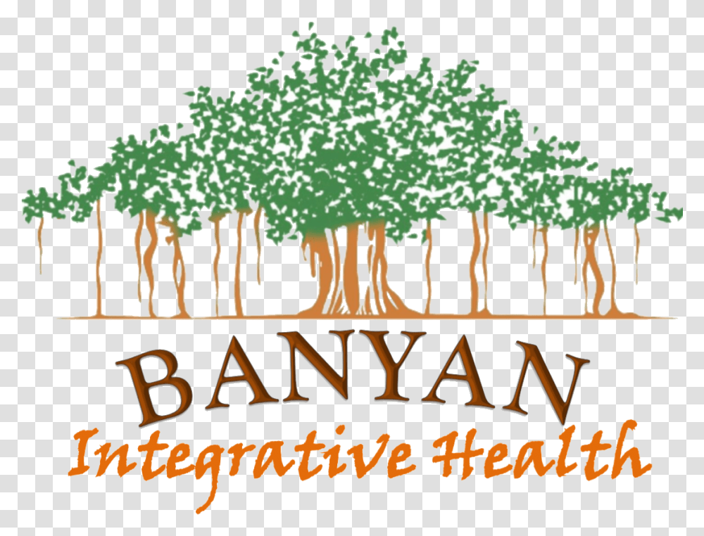 Kalpavriksha, Plant, Vegetation, Tree Transparent Png