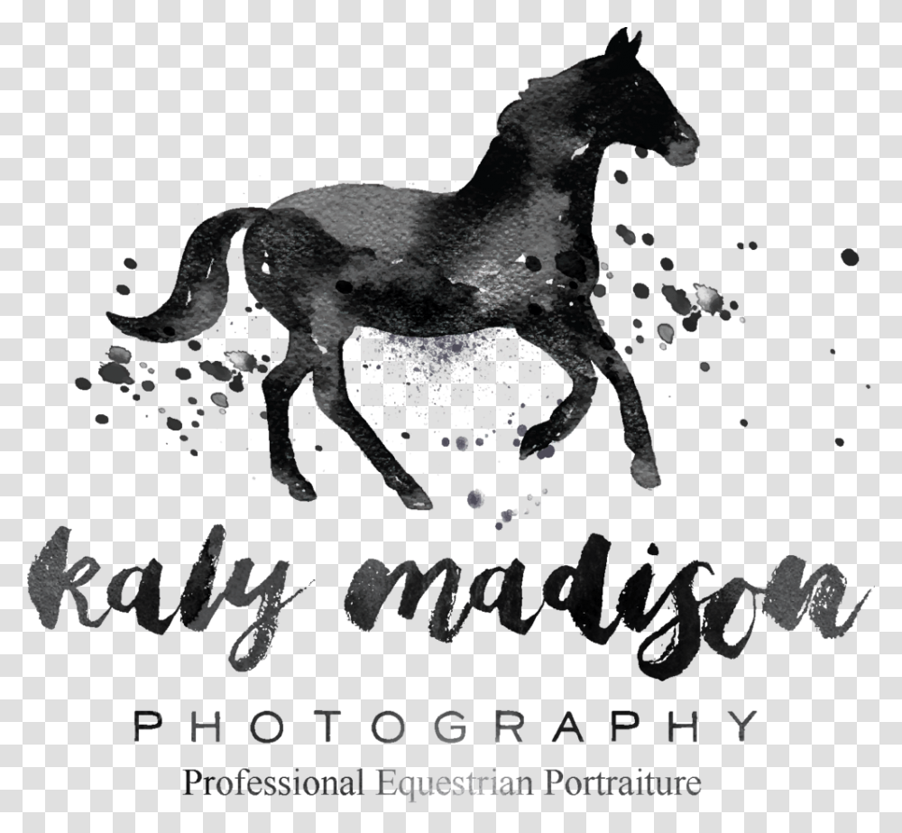 Kaly Logo, Mammal, Animal, Outdoors, Horse Transparent Png