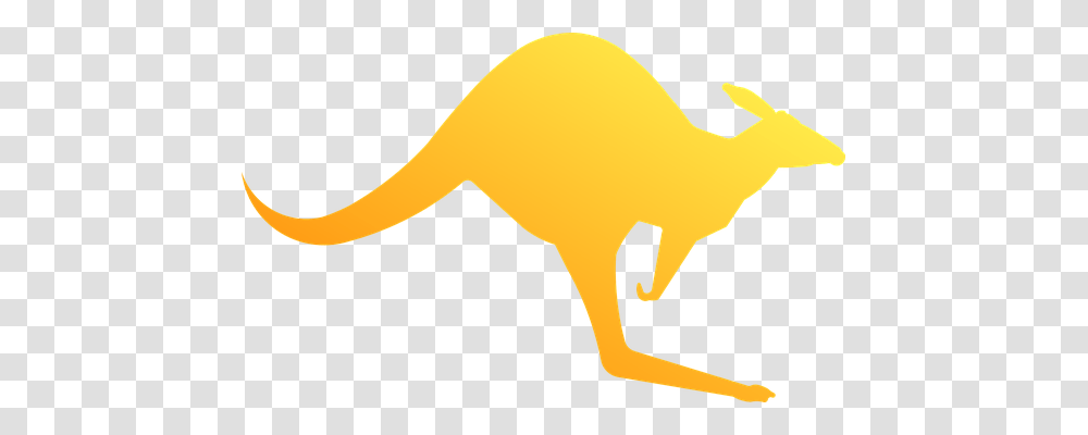 Kangaroo Nature, Axe, Tool, Mammal Transparent Png
