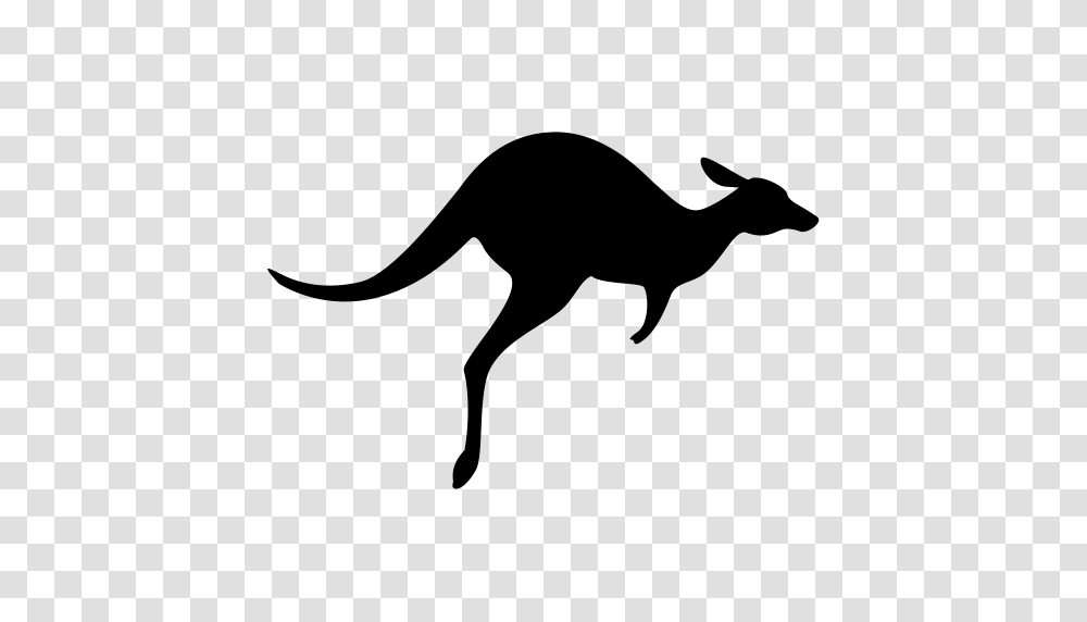 Kangaroo Animal Animals Icon With And Vector Format For Free, Gray, World Of Warcraft Transparent Png
