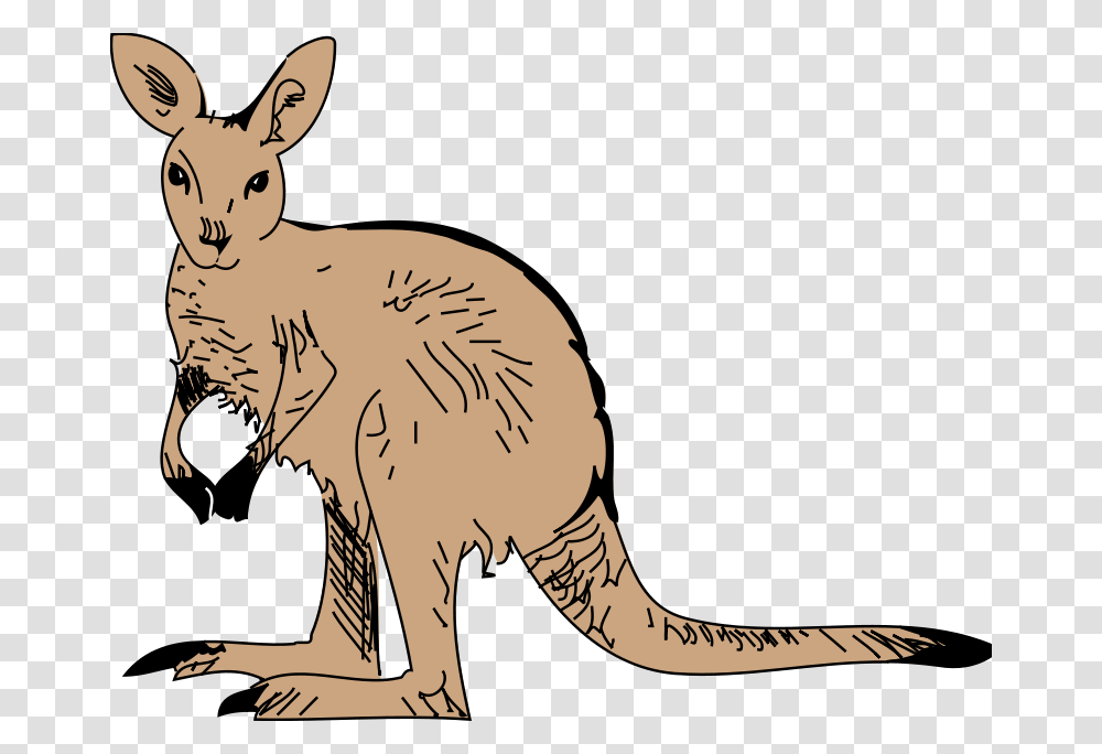 Kangaroo Animal Clipart Pictures Free Org, Mammal, Wallaby, Cat, Pet Transparent Png
