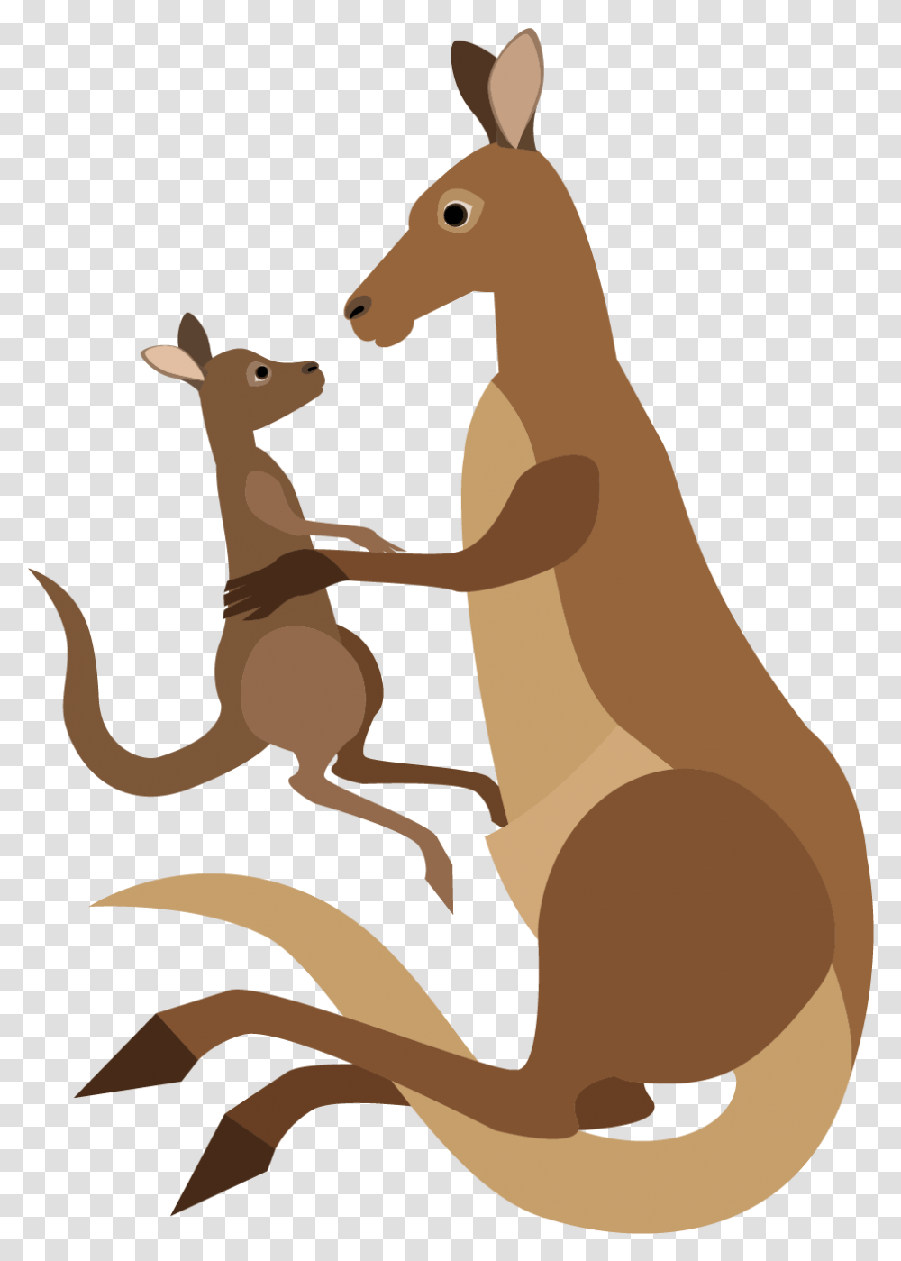 Kangaroo Cartoon Macropodidae Kangaroo Vector, Mammal, Animal, Wallaby, Bird Transparent Png