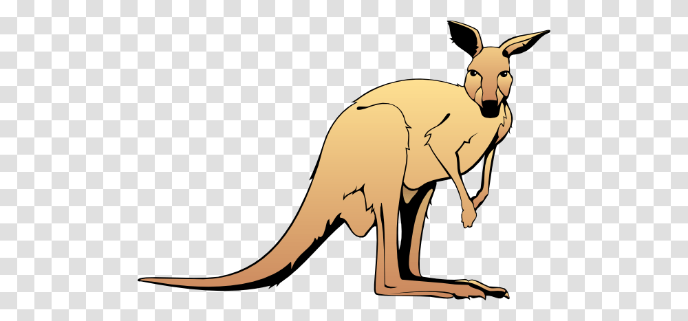 Kangaroo Clip Art Animalgals, Mammal, Wallaby Transparent Png