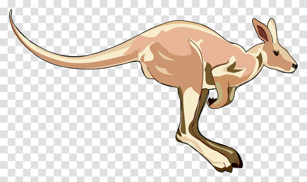 Kangaroo Clip Art, Dinosaur, Reptile, Animal, T-Rex Transparent Png