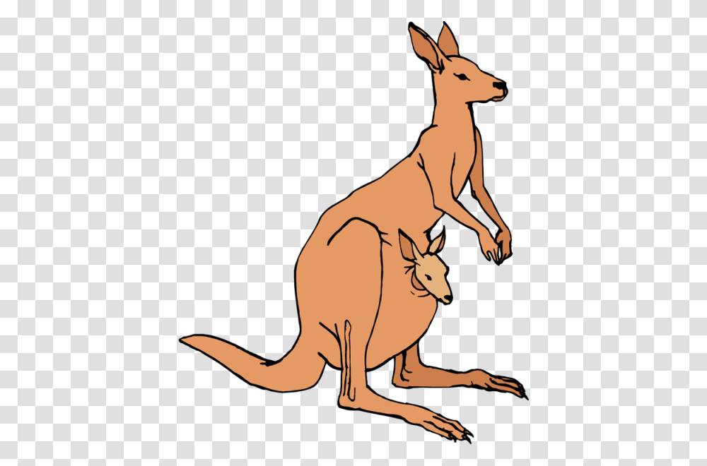 Kangaroo Clip Art, Mammal, Animal, Wallaby Transparent Png