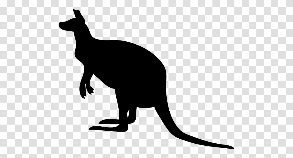 Kangaroo Clipart, Animal, Mammal, Wallaby, Dog Transparent Png
