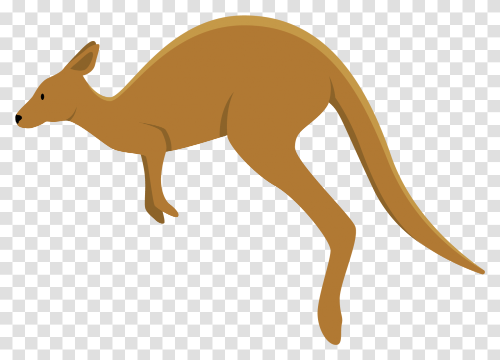 Kangaroo Clipart Background, Mammal, Animal, Wallaby Transparent Png
